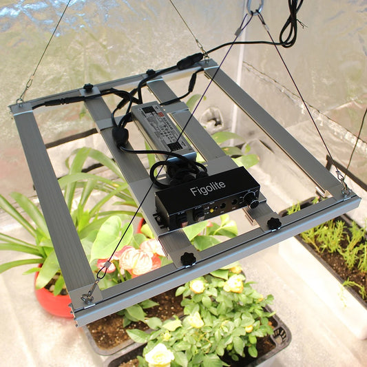 🌿 LumiGrow™ EVO Quantum LED – Smart Full-Spectrum Light